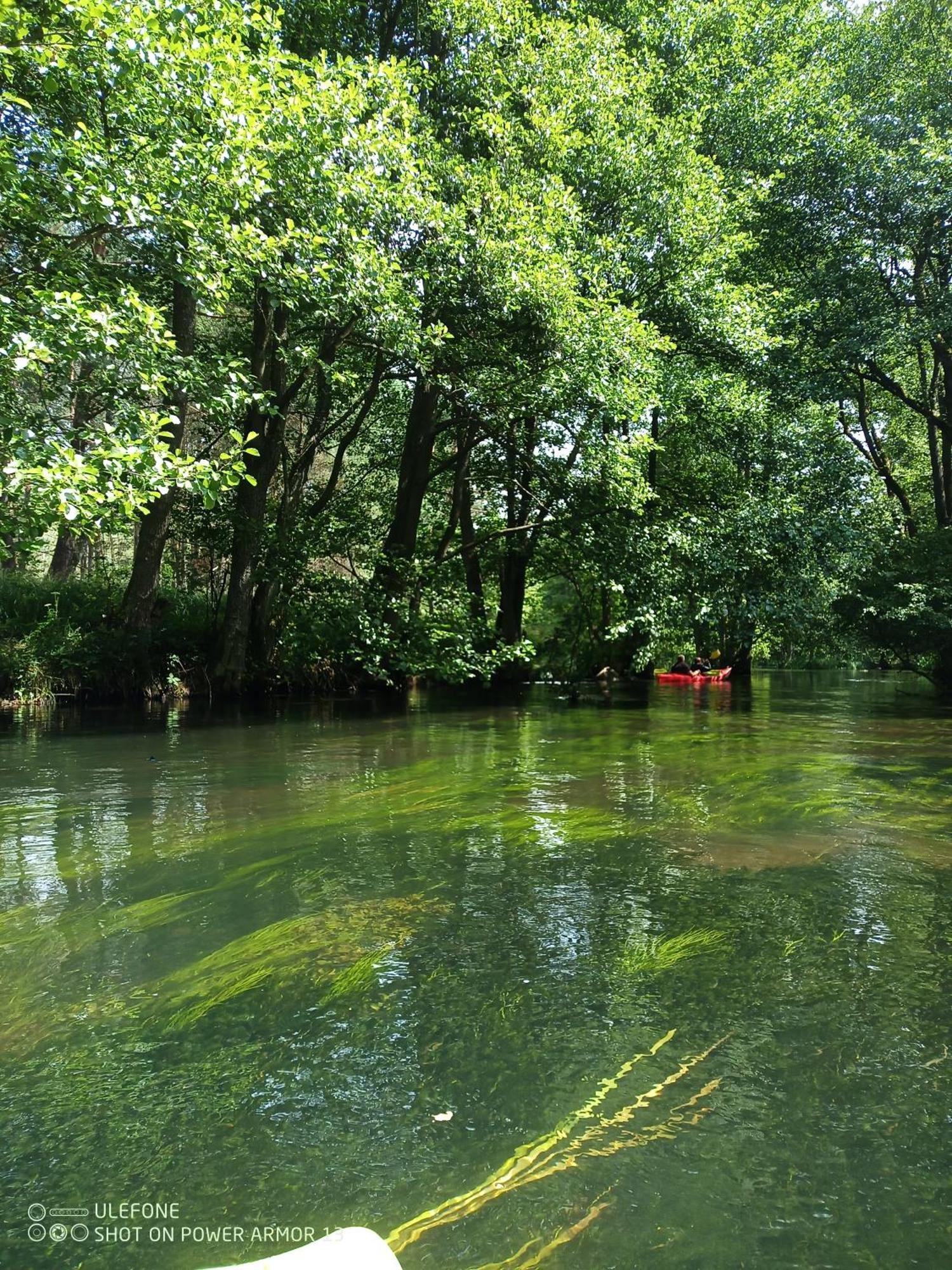 Agroturystyka Gramburg Zblewo Exteriér fotografie